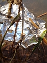 Prison de glace